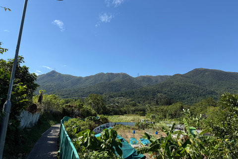 Hong Kong: Tung Shan Skyline Views Guided Hike (2.5 Hours)
