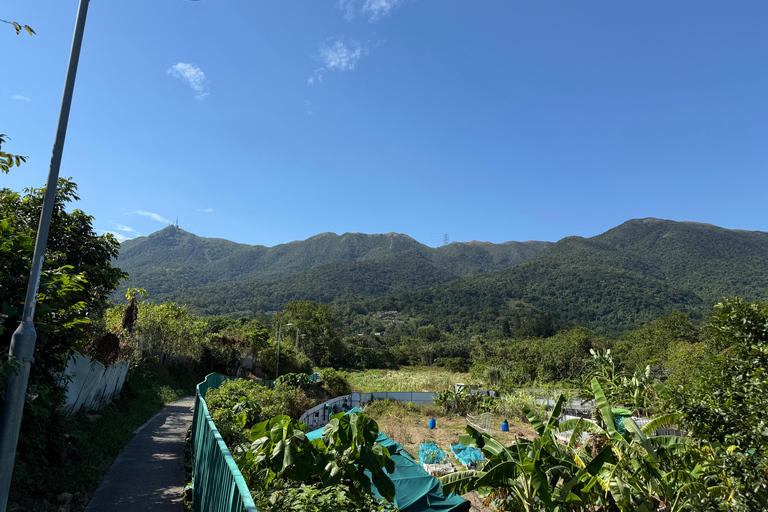 Hong Kong: Tung Shan Skyline Views Guided Hike (2.5 Hours)