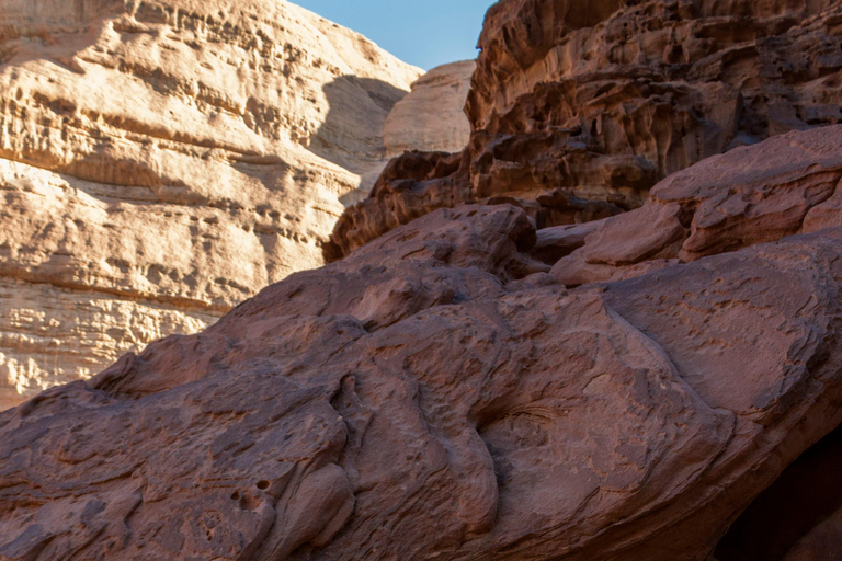 Circuit d&#039;une journée au départ d&#039;Aqaba - Pétra et Wadi Rum - Aqaba