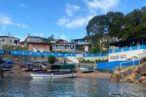 Panama City: Otoque Island Full-Day Tour with Local Lunch So, this is the Otoque Island Whale Watching Experience (seasonal)!