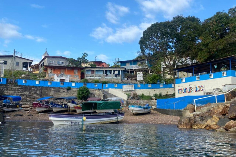 Panama City: Otoque Island Full-Day Tour with Local Lunch So, this is the Otoque Island Whale Watching Experience (seasonal)!