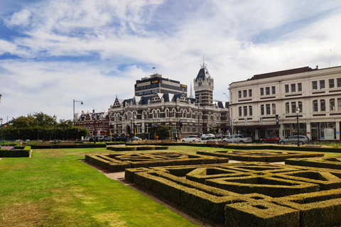 Dunedin City Highlights & Larnach Castle Tour