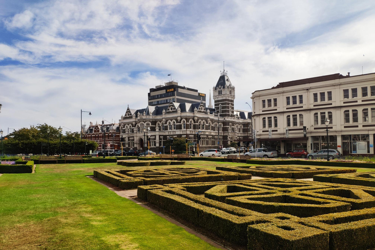 Dunedin City Highlights & Larnach Castle Tour