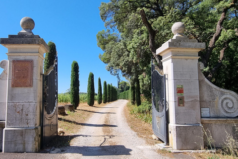 Aniane: Château Capion WeinverkostungChâteau Capion Weinverkostung