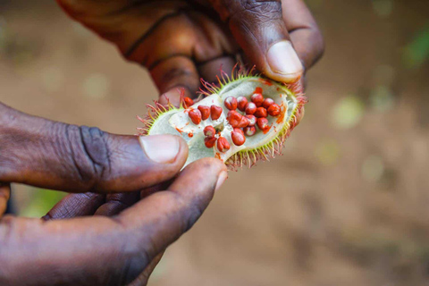 Spice farm & Evening walking tour in Stone Town