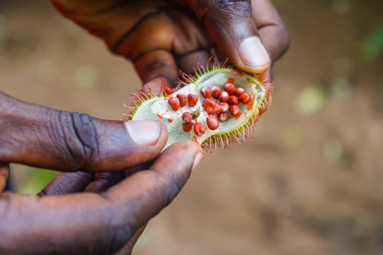 Zanzibar: Fazenda de especiarias e excursão a pé em Stone Town