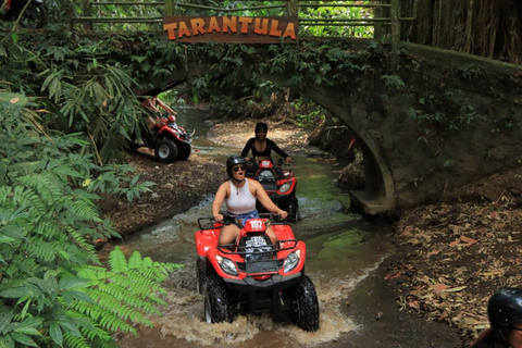 Bali : Aventure en quad, rafting et balançoire avec déjeuner