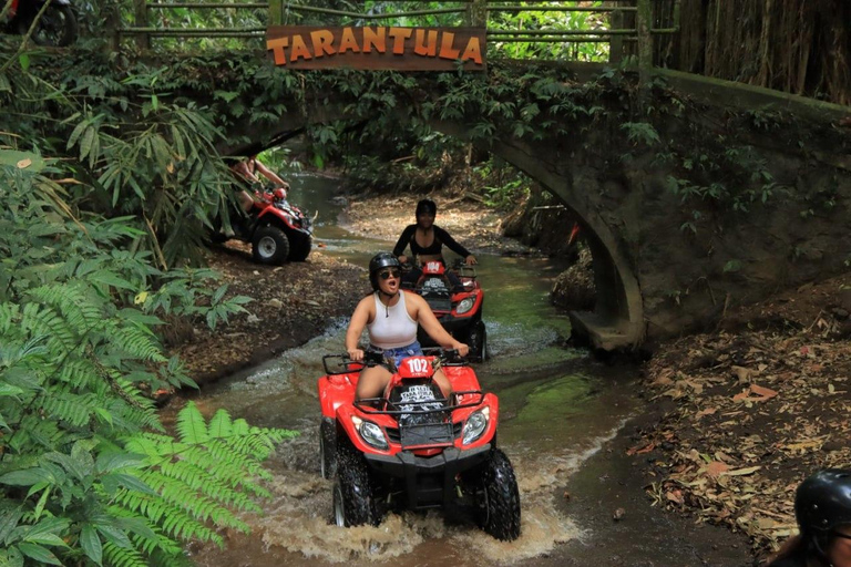 Bali: ATV, raften en schommelavontuur met lunch