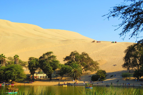 Desde Lima: Excursión de un día a Huacachina para hacer Sandboard y catar vinos