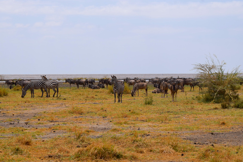 Viaggio di due giorni al Lago Manyara con canoa e passerella tra le cime degli alberiCampeggio a Karatu
