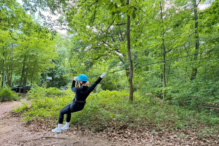 Kelkheim: Outdoor climbing experience in the forest ropes course with circuit and zip lines