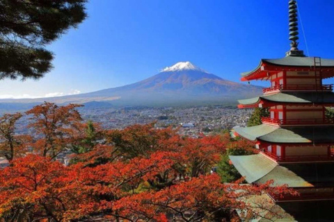 Vanuit Tokio: Privétour naar de berg Fuji met Engelse gidsTokio: Privétour naar de berg Fuji, helemaal naar jouw wensen