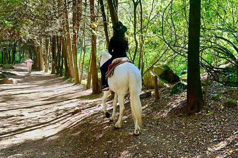 LA MEILLEURE ÉQUITATION AVEC DES COW-BOYS PROFESSIONNELS