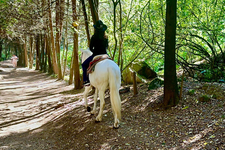 LA MEILLEURE ÉQUITATION AVEC DES COW-BOYS PROFESSIONNELS