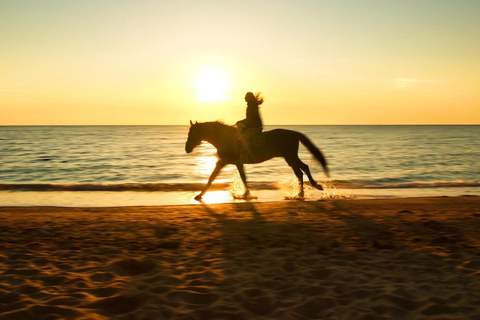 Agadir: Beginner Horse Ride Along the Souss River