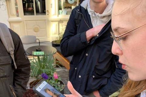 Zurich: Sherlock Holmes Morderstwo Tajemnicza grajęzyk angielski