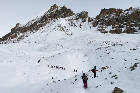 Pokhara: 8-Day Annapurna Base Camp Trek with Meals