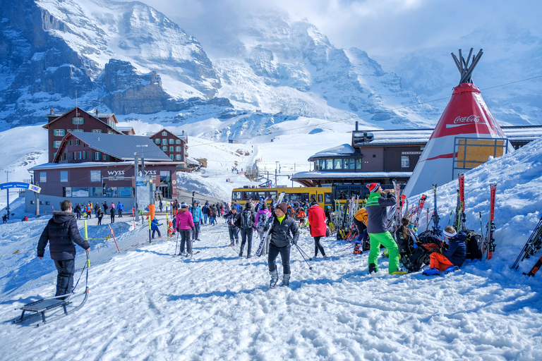 Kleingruppenreise Grindelwald-Scheidegg-LauterbrunnenGrindelwald-Scheidegg-Wengen-Lauterbrunnen Tagestour