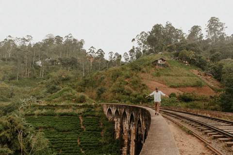 Nine Arch Bridge: Viewpoint Visit by Tuk-Tuk in Ella