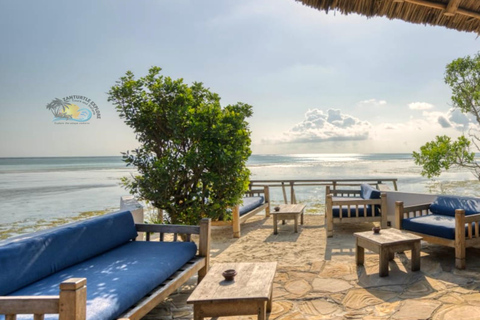 Zanzibar: Salaam Cave, Jozani Forest & The Rock Restaurant Self Transfer Experience
