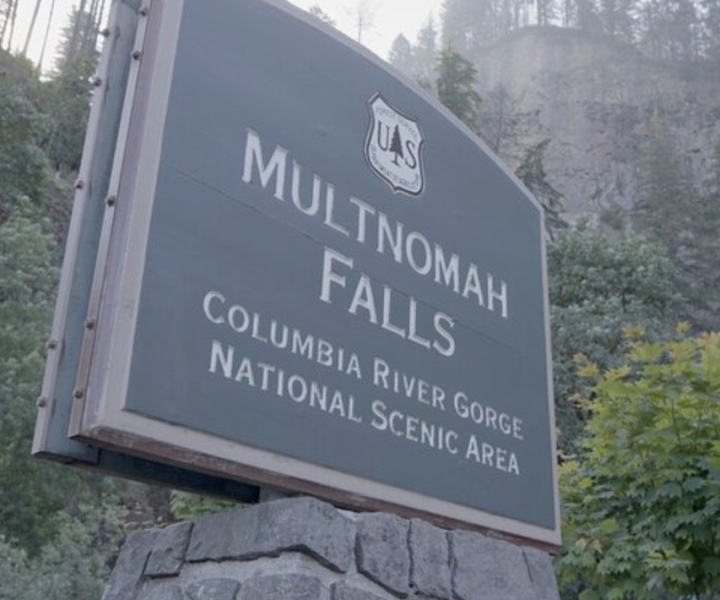 Multnomah Falls: 4 hour Guided Tour