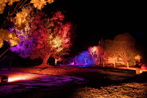 樱花之光·樱桃山