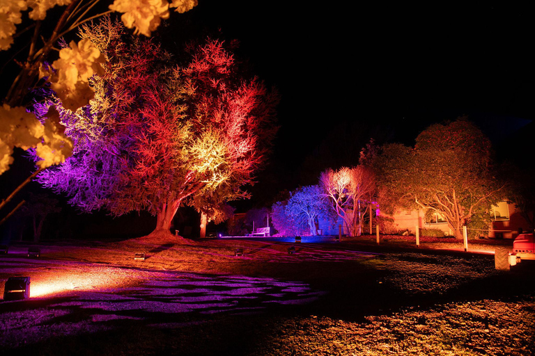 樱花之光·樱桃山