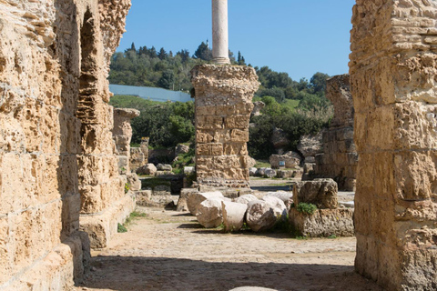 From Sousse & Monastir: Carthage, Sidi Bou Said & Tunis Tour