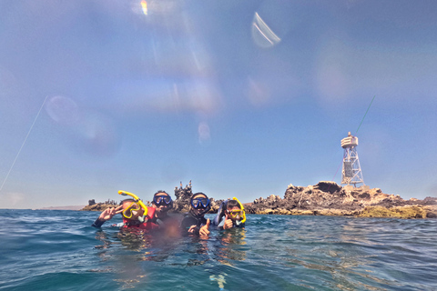 La Paz: Sea Lions & Mega-Paddleboard Tour in Balandra