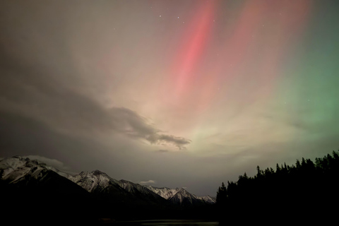 Banff Night Sky: Northern Lights and/or Stargazing Tour