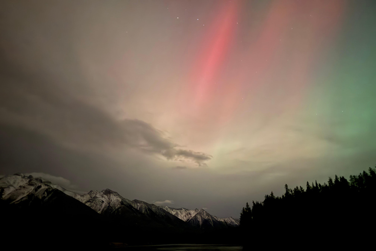 Banff Night Sky: Northern Lights and/or Stargazing Tour