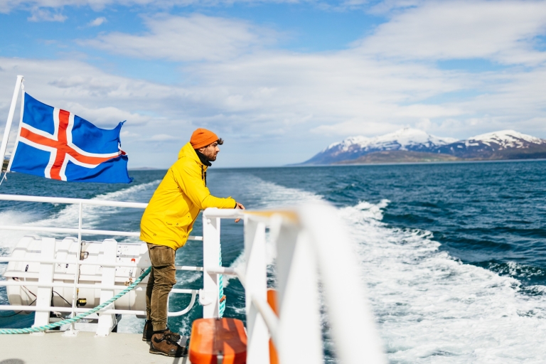Akureyri : croisière de 3 h d'observation des baleines