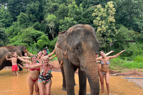 Chiang Mai: Santuário de elefantes, trilha dos monges e excursão a Doi SuthepPonto de encontro