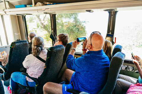 San Francisco: Yosemite-Nationalpark und RiesenmammutbäumeGruppentour auf Englisch