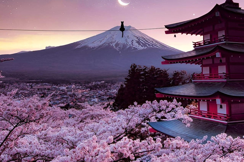 De Tóquio: Excursão particular de 1 dia ao Monte Fuji e Hakone