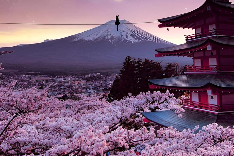 Från Tokyo: Fuji-berget och Hakone - privat dagsutflykt