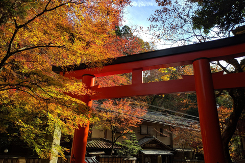Excursão particular de luxo em Alphard por Quioto com Craig / Para madrugadoresExcursão particular de luxo em Alphard por Quioto com Craig / O madrugador