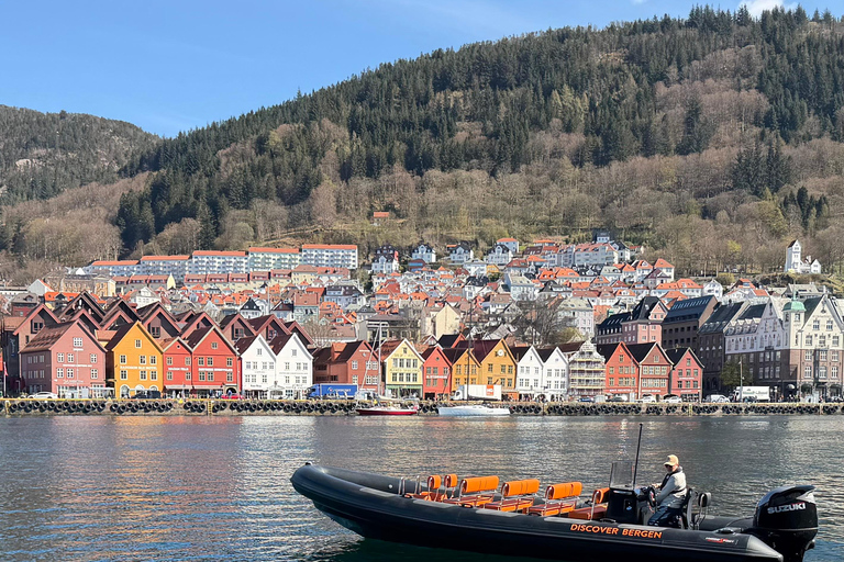 Bergen: RIB Boat Tour with Guide