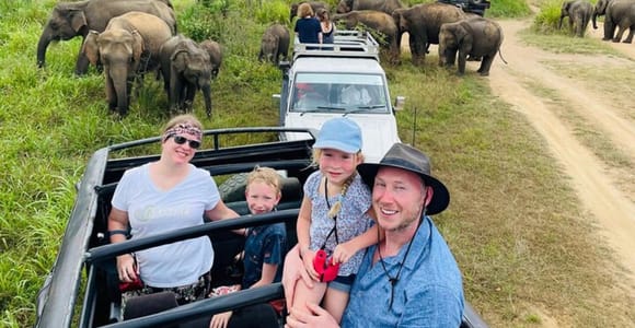 A family sitting in an open safari jeep on a dirt track, a herd of elephants grazing in tall grass beside them and more jeeps waiting behind