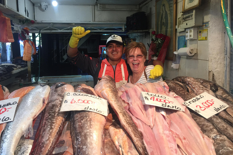 Discover Santiago Half Day Guided Tour Included Local Snack