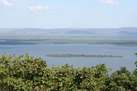 3-day Rwanda Bird Watching in Akagera National Park