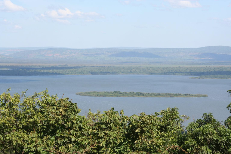 3-day Rwanda Bird Watching in Akagera National Park
