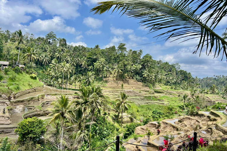 Bali: ATV adventure, Ayung River Rafting & Rice Fields