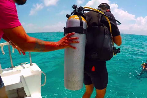 Private: Punta Cana: Reef Diving Adventure with Hotel Pickup