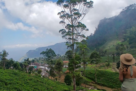 ELLA Lipton Seat Tea Test & Pluck 9Arch, Waterfalls, & Food Lipton's Seat, Little Adam Peak, 9 Arch, Ravana Waterfalls