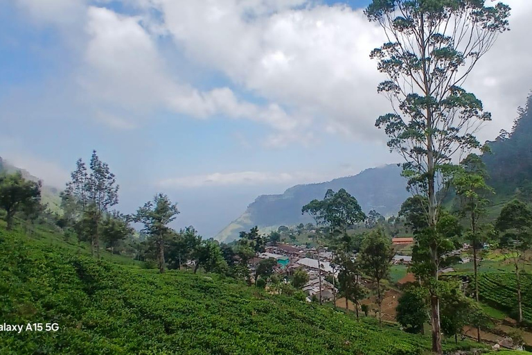 ELLA Lipton Seat Tea Test & Pluck 9Arch, Waterfalls, & Food Lipton's Seat, Little Adam Peak, 9 Arch, Ravana Waterfalls