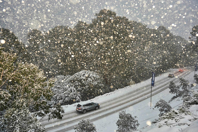 From Melbourne: Day Tour to Mt Buller with Snow Clothes