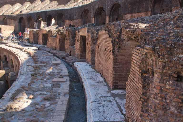 Rome: Colosseum and Ancient Rome Small Group Tour Tour in French