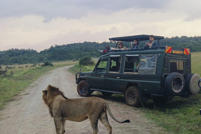 Parque Nacional de Nairobi;4hr Gamedrive en el único parque de la ciudad del mundo