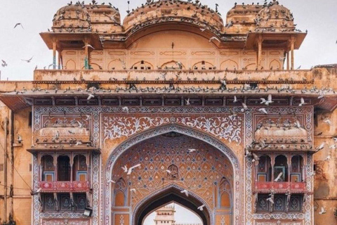 Jaipur (rosa staden): Heldags sightseeingtur + guide + AC-bil